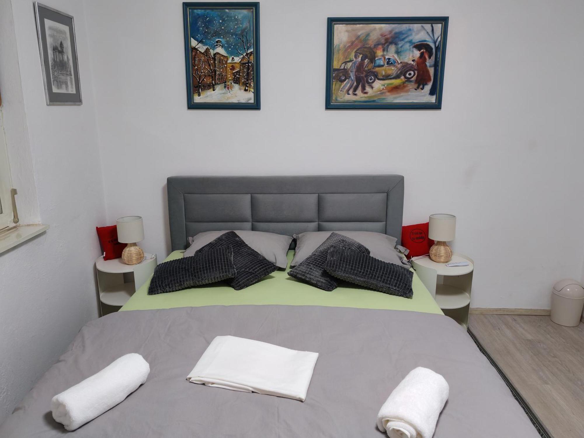 Apartman Ivana 卡尔洛瓦茨 外观 照片